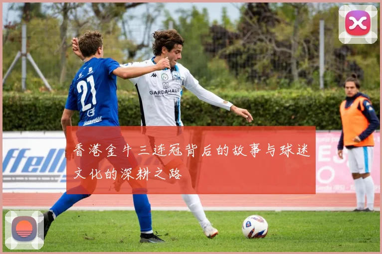 香港金牛三连冠背后的故事与球迷文化的深耕之路